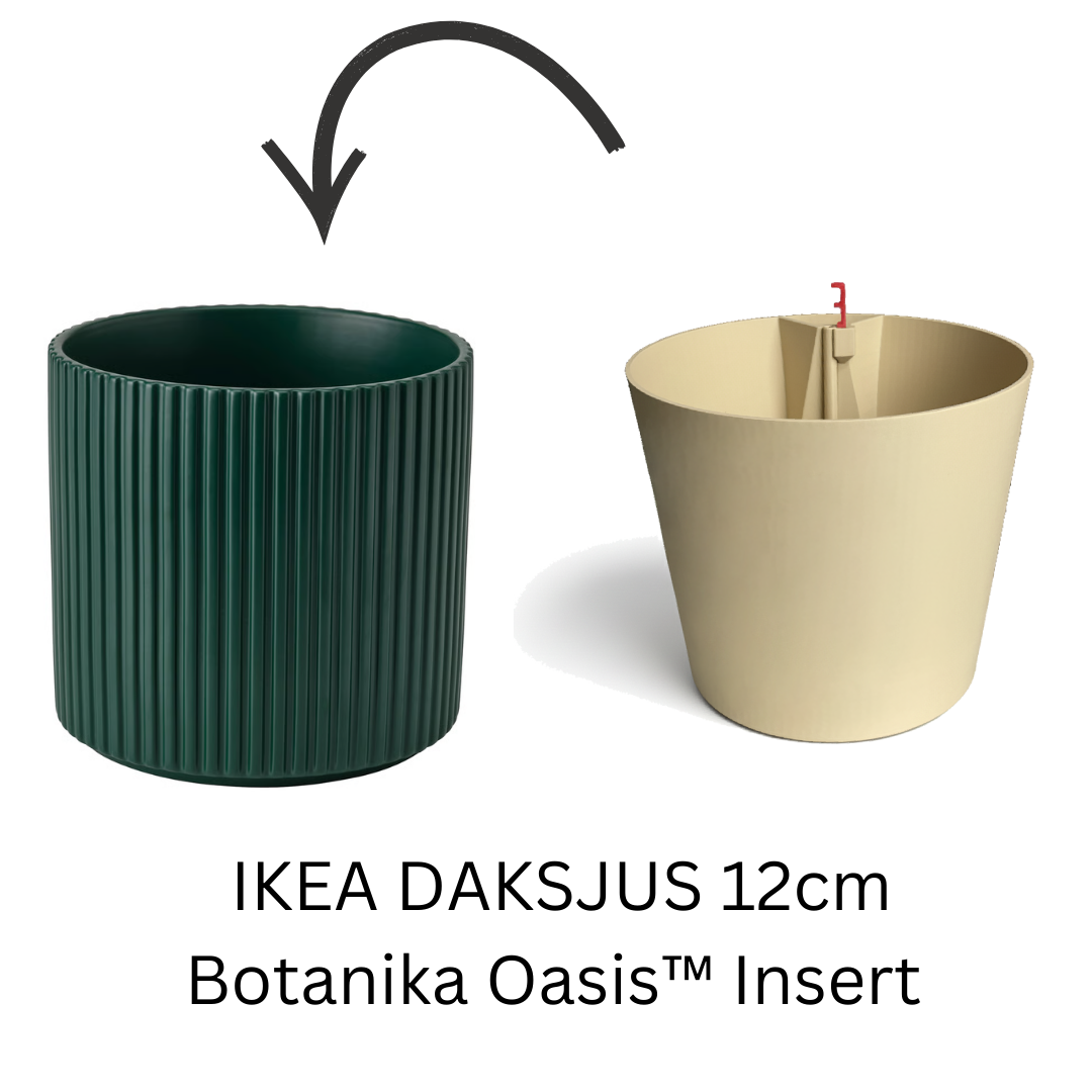 Botanika Oasis™ Insert
